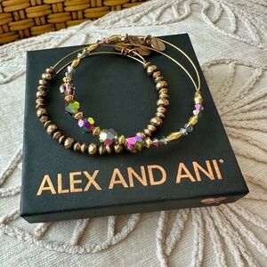 ☀️ Bundle of Two ALEX AND ANI Beaded Bangle Bracelets